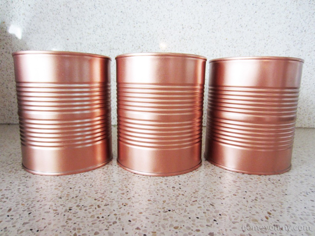 Copper Cans