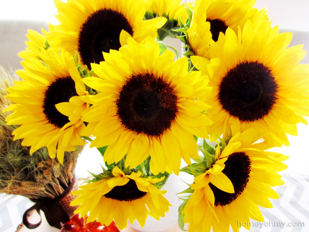 Sunflowers