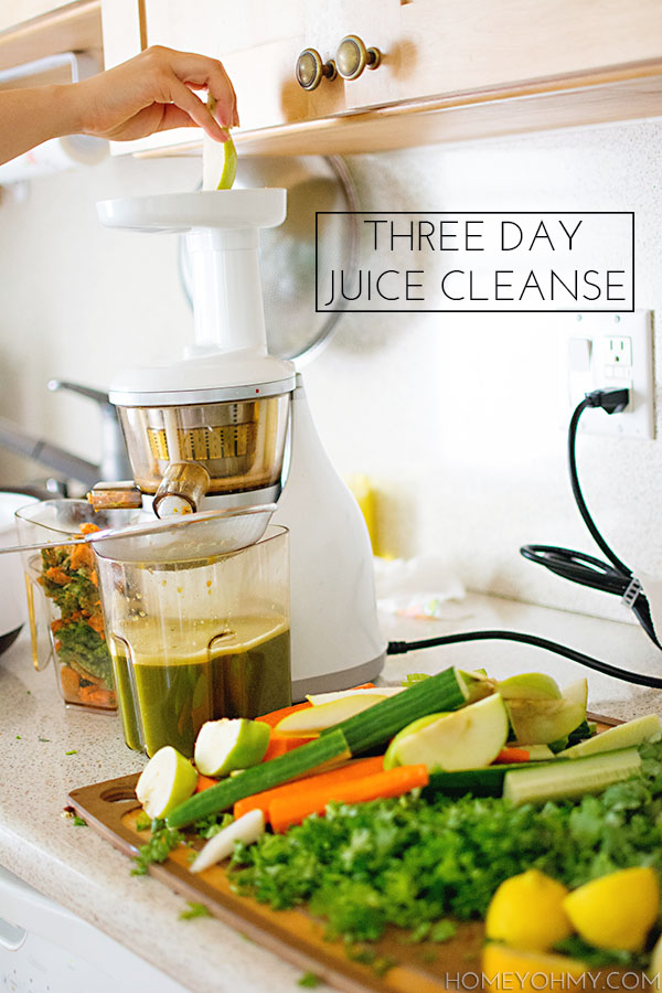 Three Day Juice Cleanse - Homey Oh My
