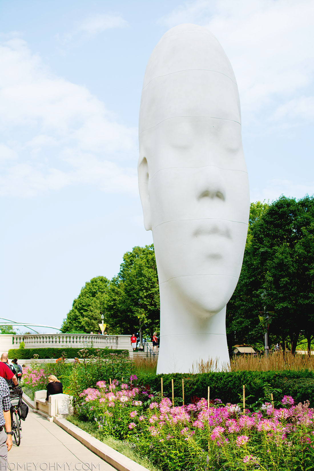 Head Sculpture Millennium Park