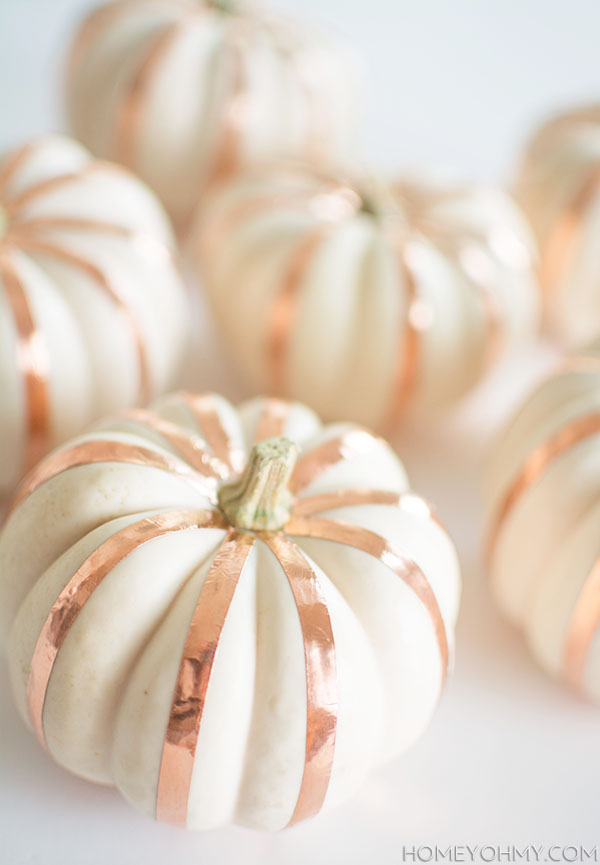 Copper Striped Pumpkins