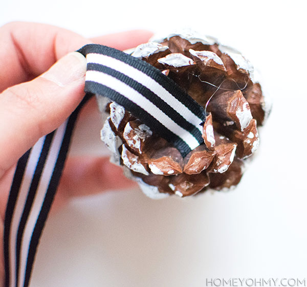 pinecone ribbon