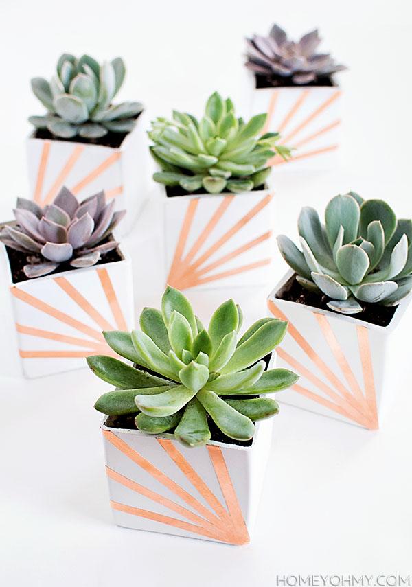 DIY Copper and White Succulent Planters