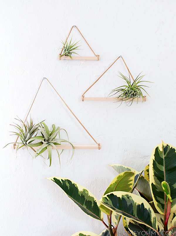 Air Plant Hangers DIY