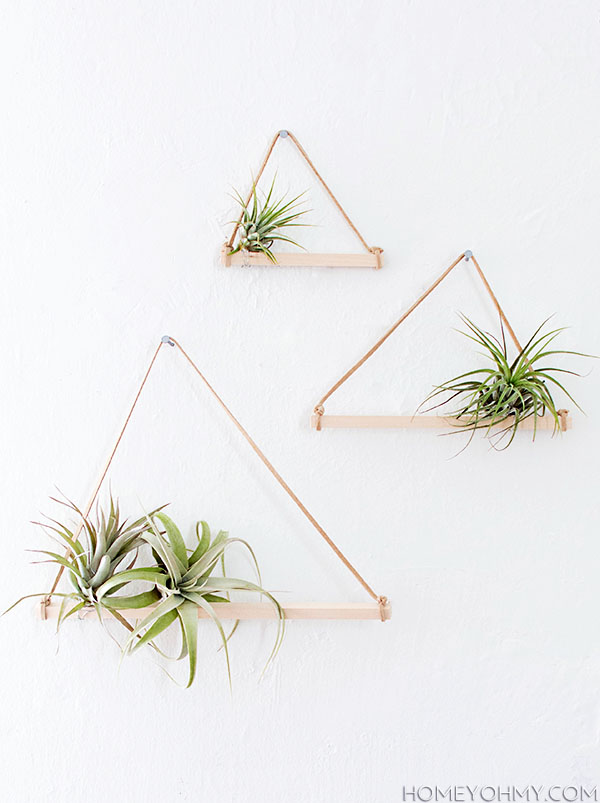 Air Plant Hangers