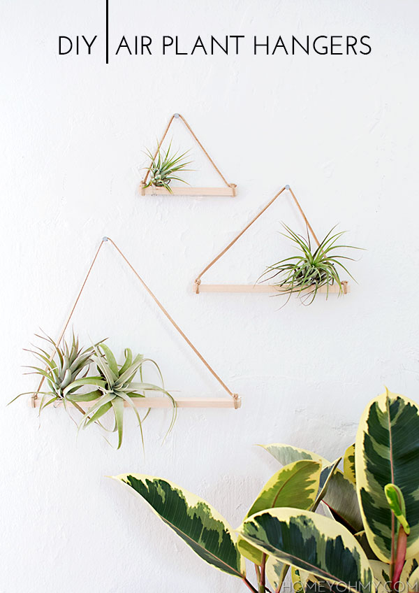 DIY Air Plant Hangers - Homey Oh My