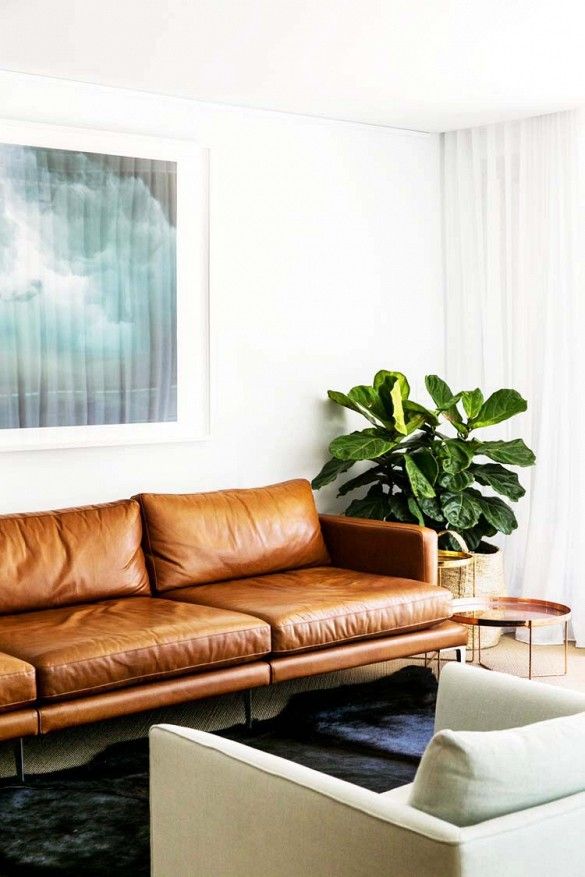tan leather  sofa