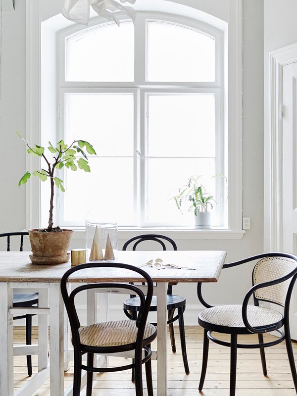 thonet chairs