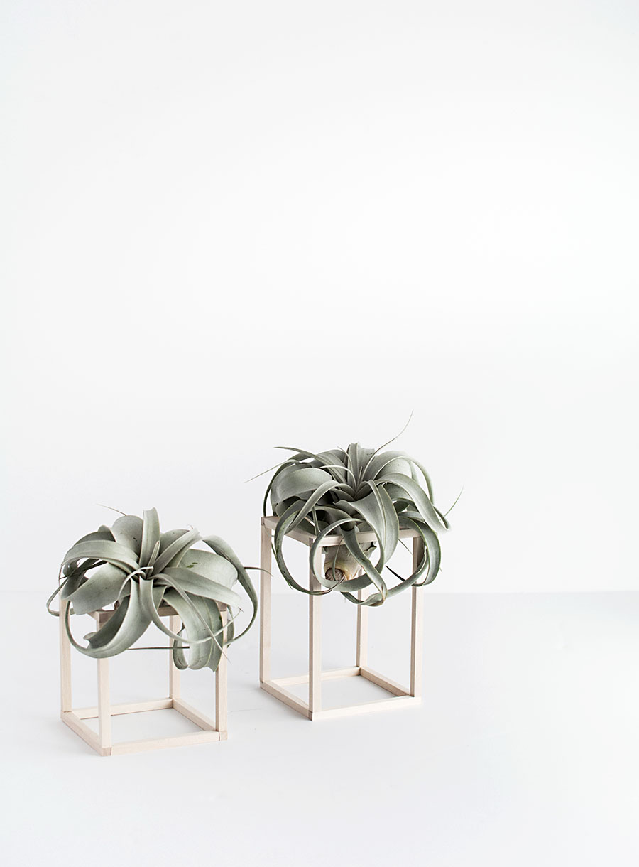 DIY Air Plant Holders