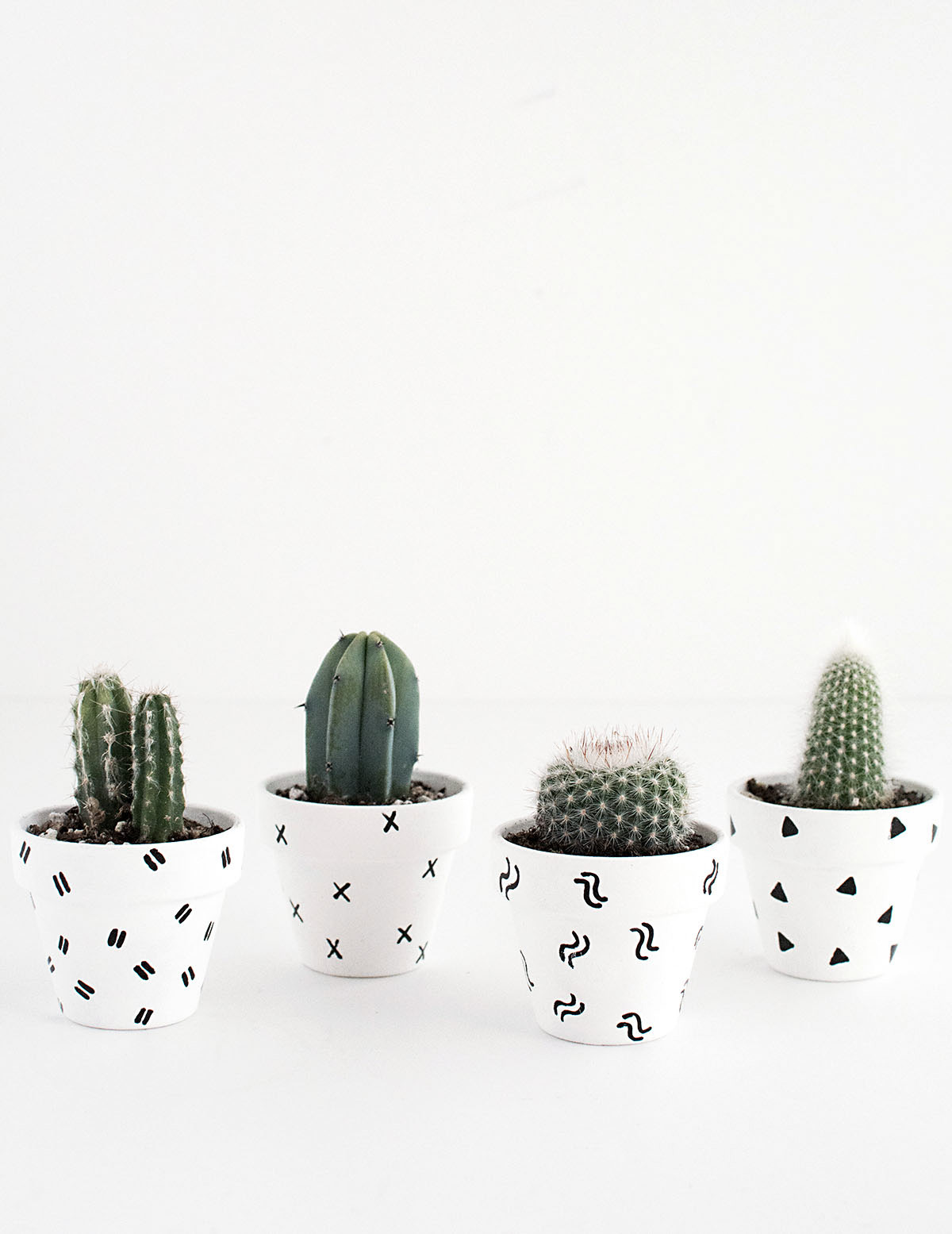 DIY- Mini Patterned Plant Pots-2