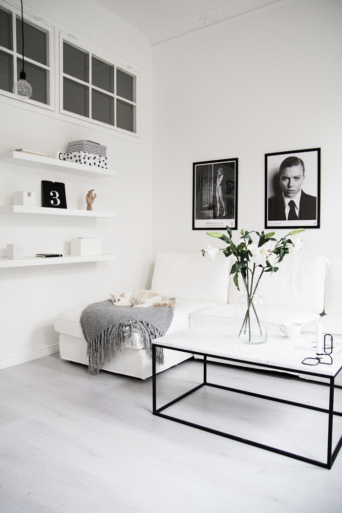 blac and white living room